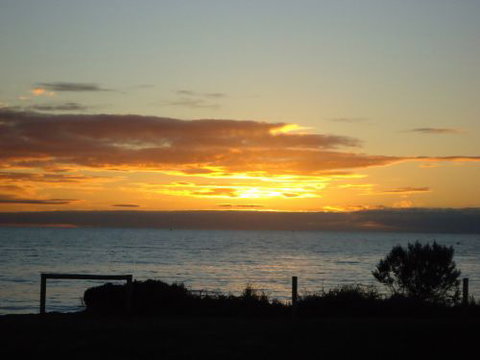 Brighton Caravan Park - Palm Beach Accommodation 7