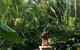 Shambhala Retreat Magnetic Island Cottages - thumb 1
