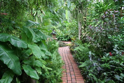 Shambhala Retreat Magnetic Island Cottages - Palm Beach Accommodation 7