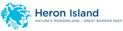 Heron Island Resort - Palm Beach Accommodation 2