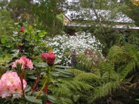 Lorne VIC Palm Beach Accommodation