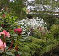 Lorne Lemonade Creek Cottages - Palm Beach Accommodation