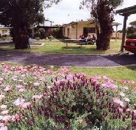 Brigadoon Holiday Units - Palm Beach Accommodation