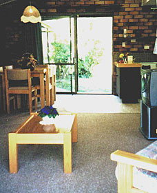 Falls Forest Retreat - Palm Beach Accommodation 0