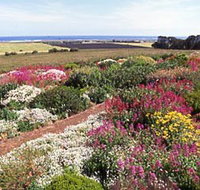 Tower Hill House - Palm Beach Accommodation