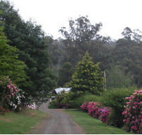 Mountain Rivers Lodge - Palm Beach Accommodation