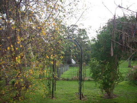 Whitelaw's Rest - Palm Beach Accommodation 1