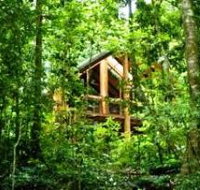 Fur'N'Feathers Rainforest Tree Houses - Palm Beach Accommodation