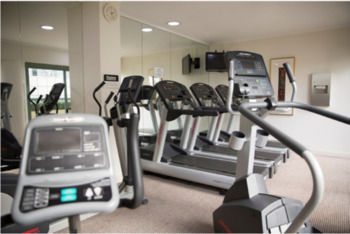 The Sebel Sydney Chatswood - Palm Beach Accommodation 5