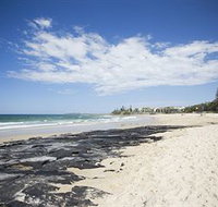 BreakFree Alexandra Beach - Palm Beach Accommodation
