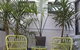 The Savoy Double Bay Hotel - thumb 24