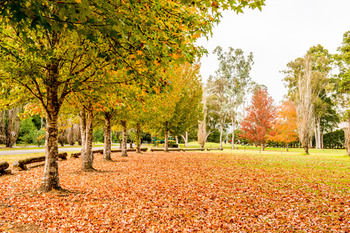 Retreat At Wisemans - Palm Beach Accommodation 12