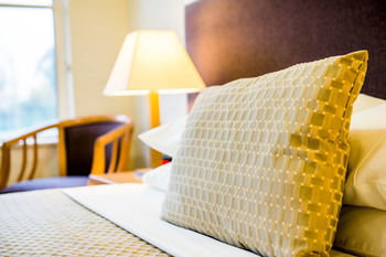 Retreat At Wisemans - Palm Beach Accommodation 13