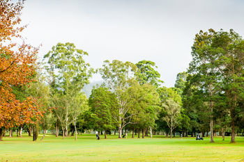 Retreat At Wisemans - Palm Beach Accommodation 17