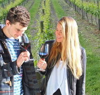 Valley Farm Vineyard Cottages - Palm Beach Accommodation