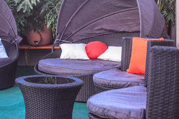 Kings Cross Backpackers - Adults Only - Palm Beach Accommodation 4