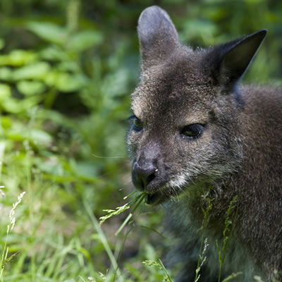 Allure Beach Retreat - Palm Beach Accommodation 6