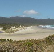 Cloudy Bay Cabin - Palm Beach Accommodation
