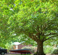 Lakes and Craters Holiday Park - Palm Beach Accommodation