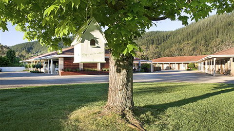 Ovens Valley Motor Inn - Palm Beach Accommodation 3