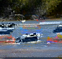 Lake Dyer - Palm Beach Accommodation