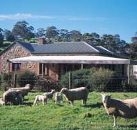 Amanda Stichbury Cottage - Palm Beach Accommodation
