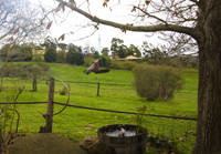 Amble Fern Studio - Palm Beach Accommodation 1