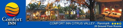Comfort Inn Citrus Valley - Palm Beach Accommodation 2