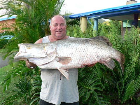 Conway Beach Tourist Park Whitsunday - Palm Beach Accommodation 4
