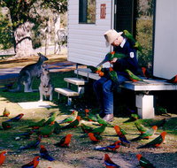 Inland Waters Holiday Parks Burrinjuck - Palm Beach Accommodation