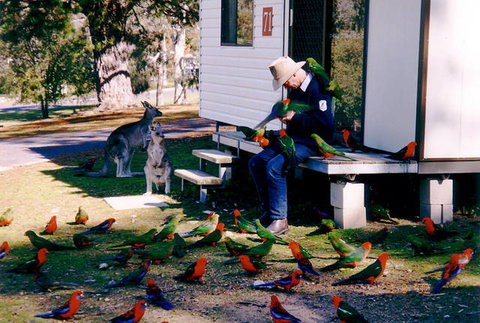 Inland Waters Holiday Parks Burrinjuck - Palm Beach Accommodation 0