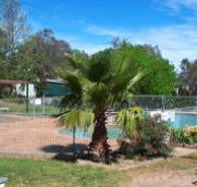 Lake Burrinjuck Leisure Resort - Palm Beach Accommodation