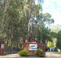 Murraybank Caravan  Camping Park - Palm Beach Accommodation