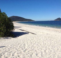 North Coast Holiday Parks Jimmy's Beach - Palm Beach Accommodation