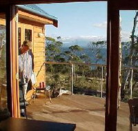 Tree House - The - Palm Beach Accommodation