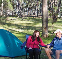 Apsley Falls campground - Palm Beach Accommodation
