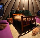 Aranyani Bison Adventure Tourist Park - Palm Beach Accommodation