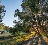 Delicate campground - Palm Beach Accommodation