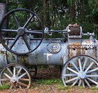 Dingo Tops campground - Palm Beach Accommodation