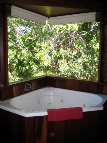 Rose Gums Wilderness Retreat - Palm Beach Accommodation 3