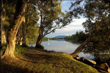 South West Rocks Tourist Park - Palm Beach Accommodation 2