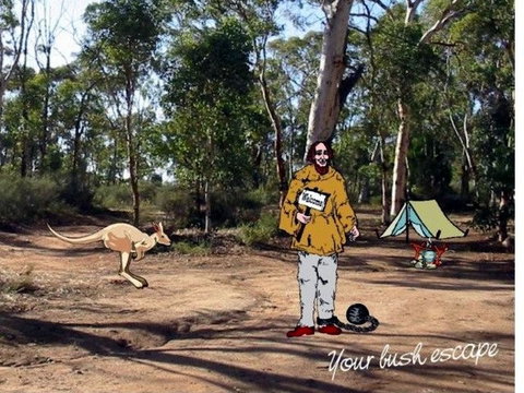 Toodyay Holiday Park & Chalets - Palm Beach Accommodation 2
