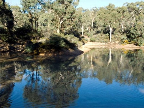 Toodyay Holiday Park & Chalets - Palm Beach Accommodation 4