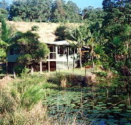Walkabout Holiday House - Palm Beach Accommodation
