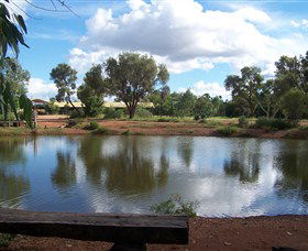 Gemtree Caravan And Tourist Park - Palm Beach Accommodation 0