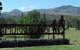Murrurundi Caravan Park - thumb 5