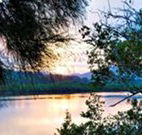 Tweed Coast Holiday Parks Hastings Point - Palm Beach Accommodation