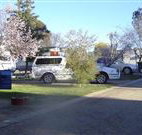 Horseshoe Motor Village - Palm Beach Accommodation