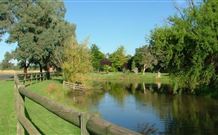 Horseshoe Motor Village - Palm Beach Accommodation 3