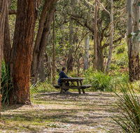 Koreelah Creek campground - Palm Beach Accommodation